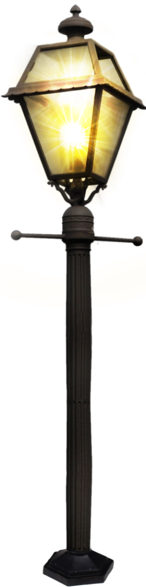 45x180-Sokak Lampasi